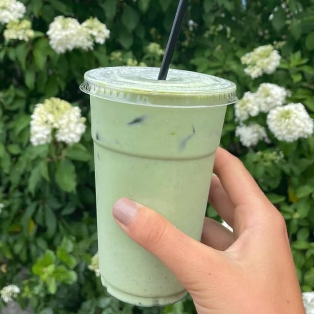 Iced Matcha Latte.